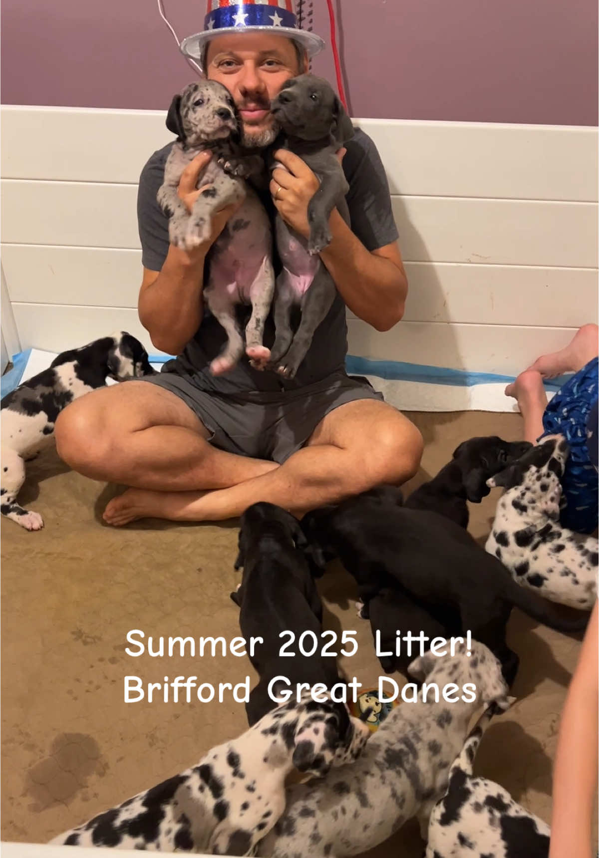 @Brifford Great Danes .com