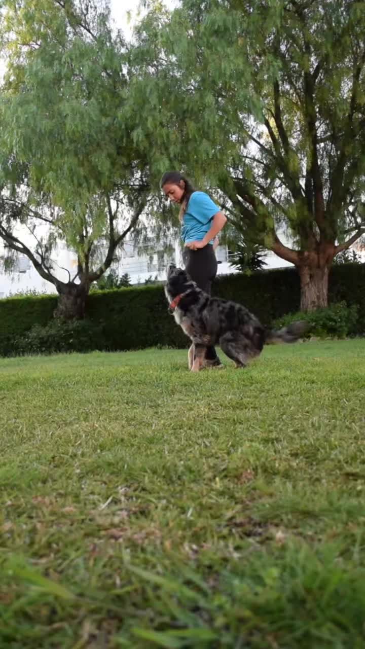 @superdogflor and company