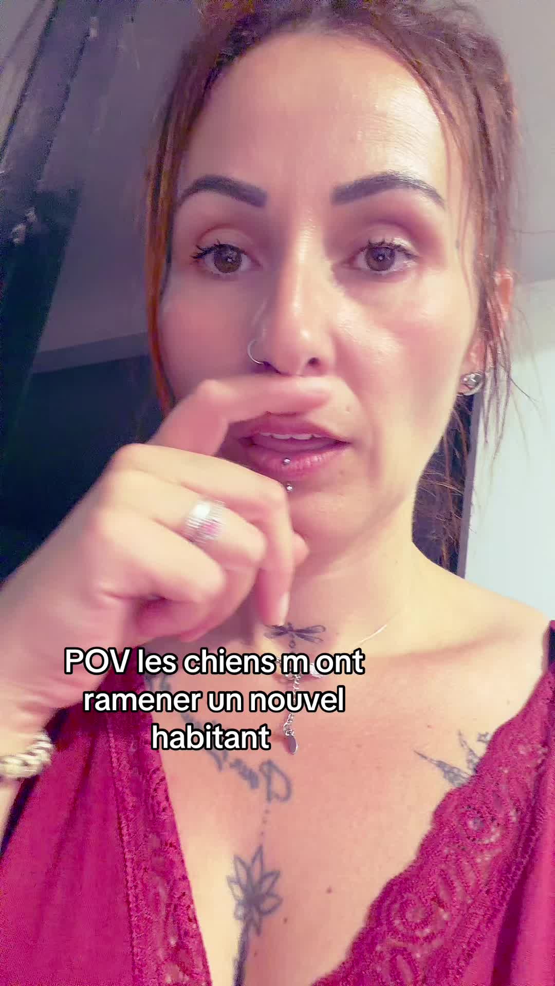 @Powline Dms