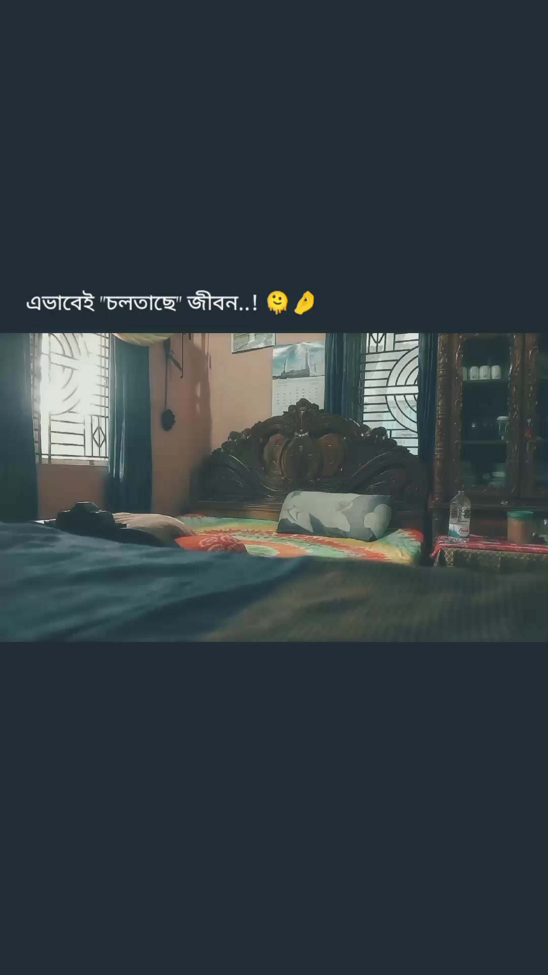 @_ꮢꭵjuꮍꭺꮑ_🐊