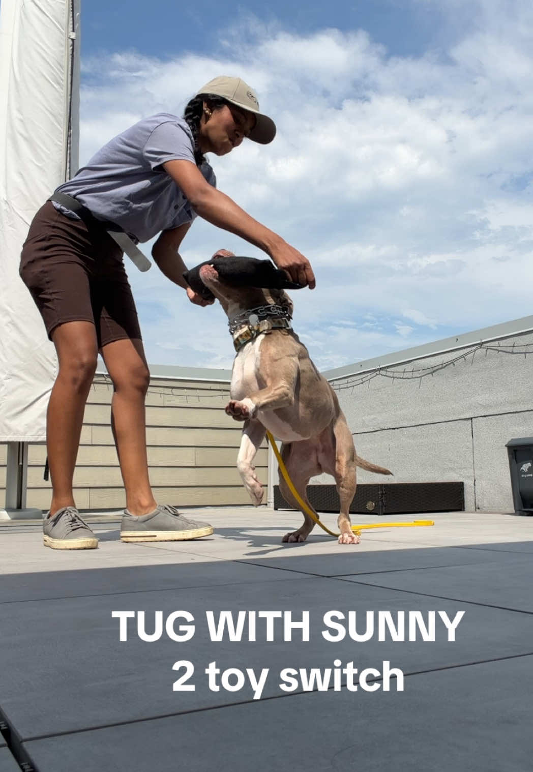 @dogstrainjen