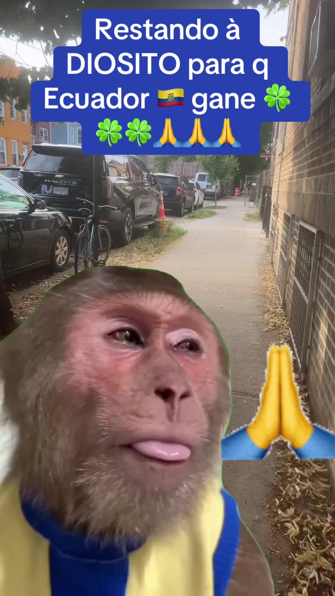 @central87
