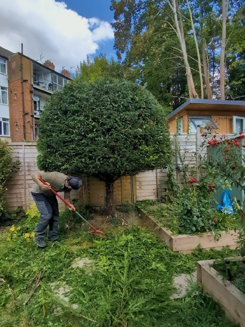 @Gary Hall Garden Services