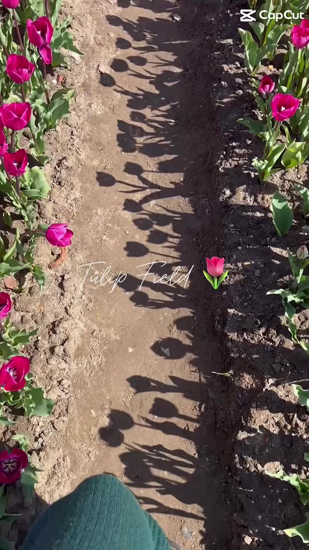 @artbyselo