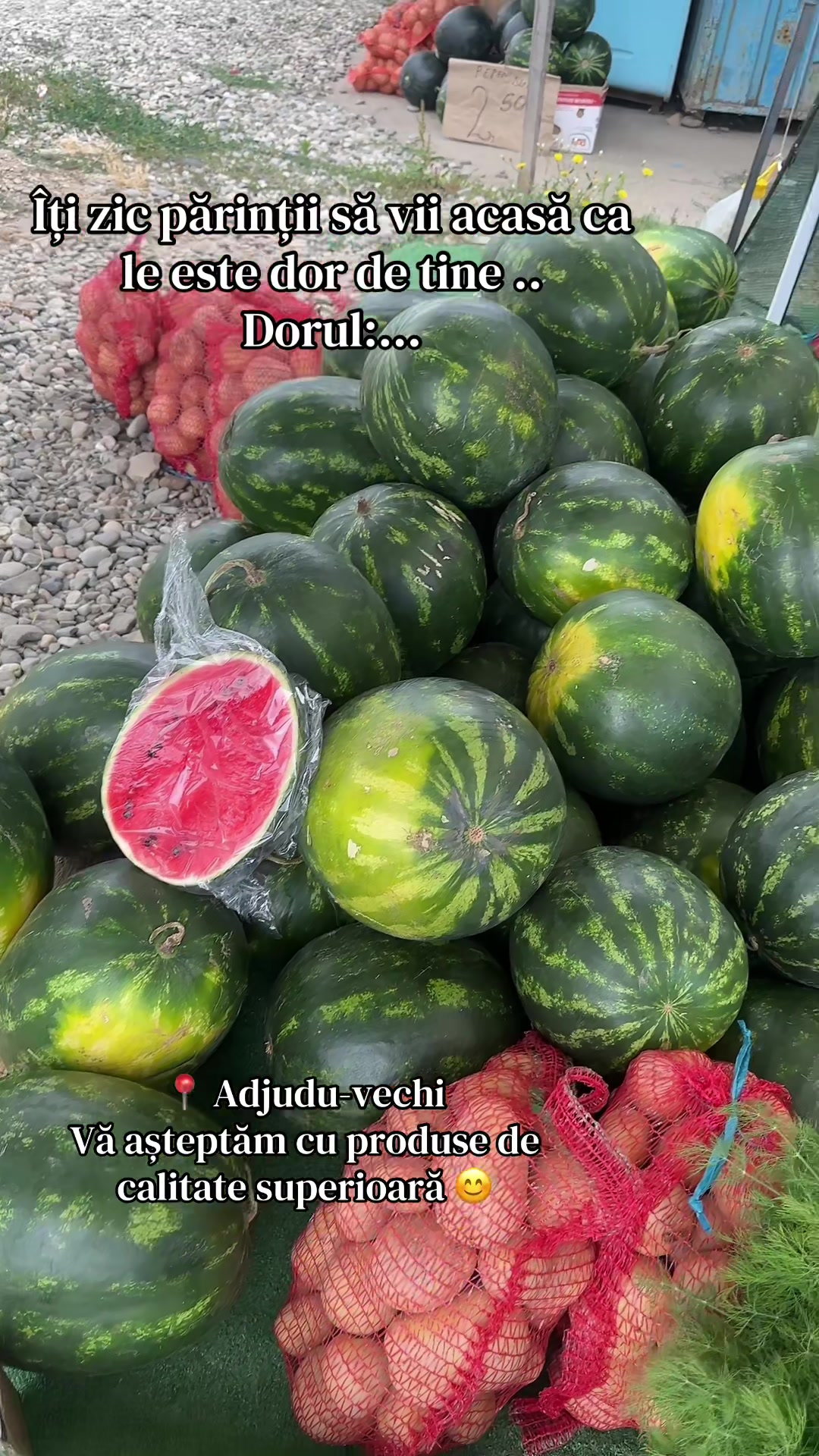 @Elena