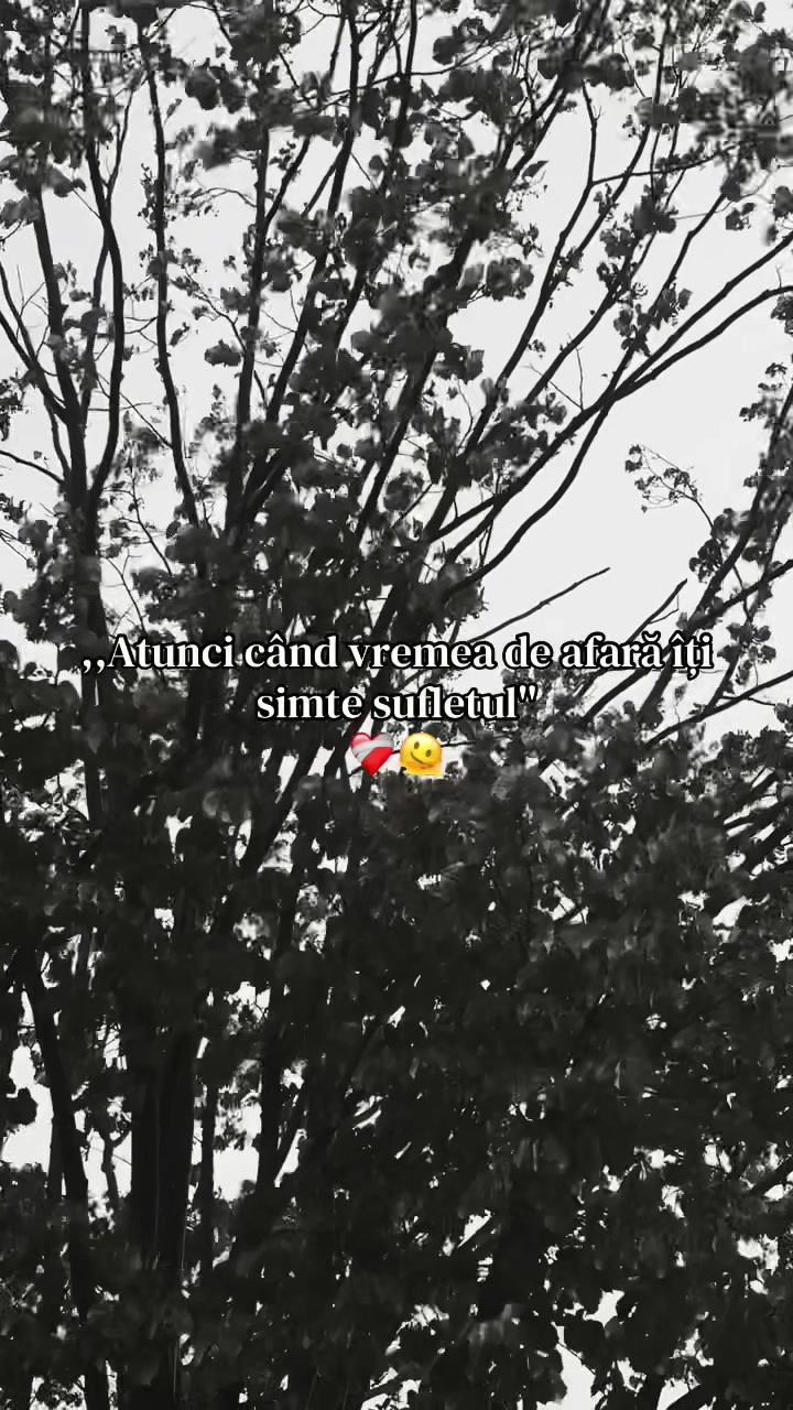 @๐๐๐น๐โฏโฏ๐ถ๐ผ๐ธ