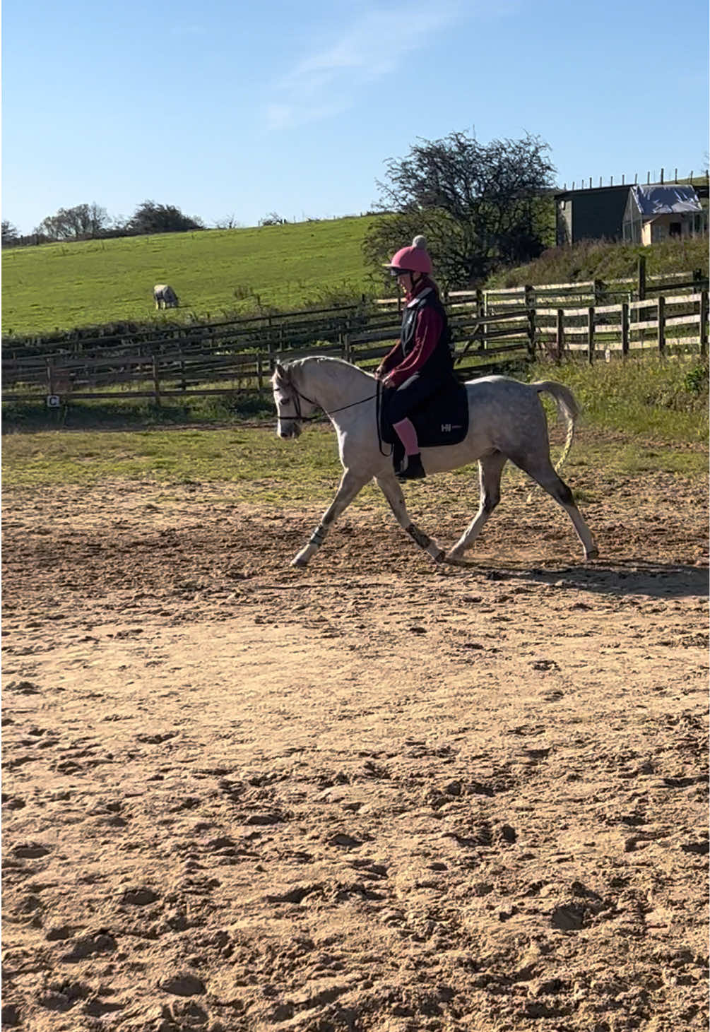 @Simmonds Show Team