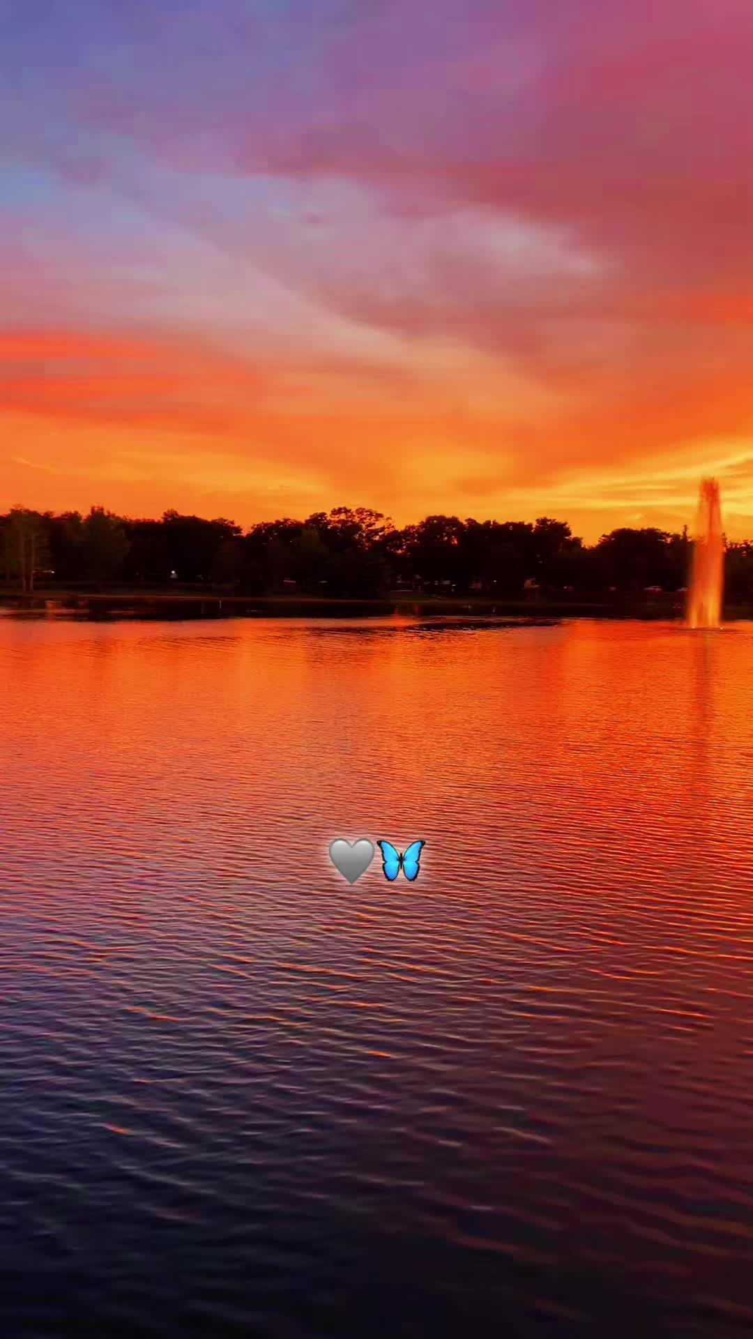 @🦋Bbcita🌻🇺🇸🌙