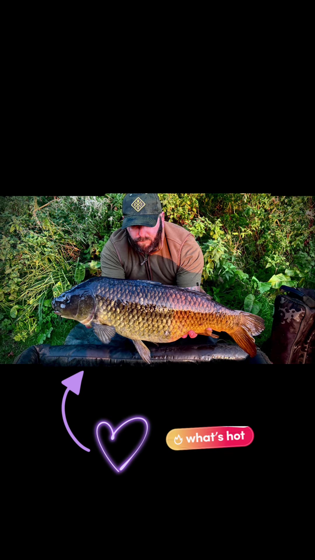 @Ian bank rat davies