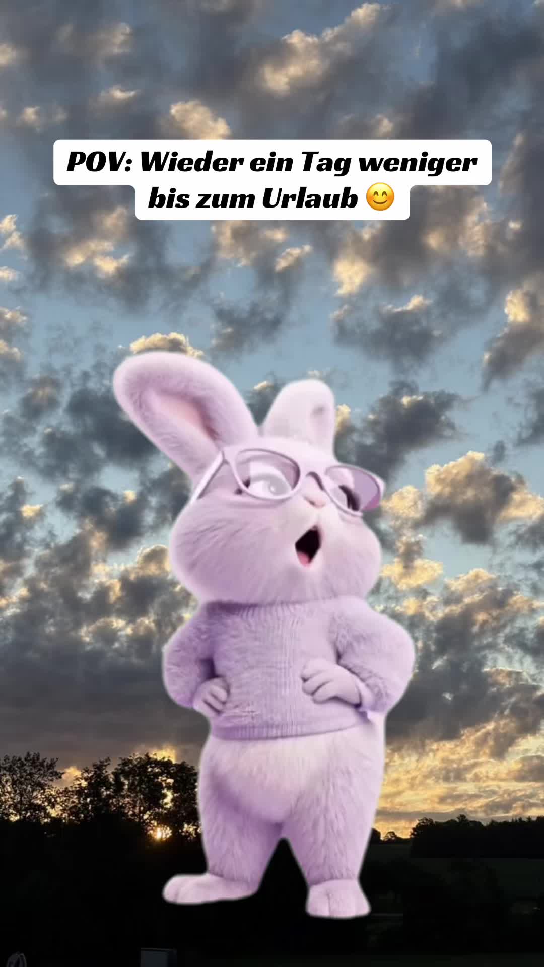 @stelzi96_2