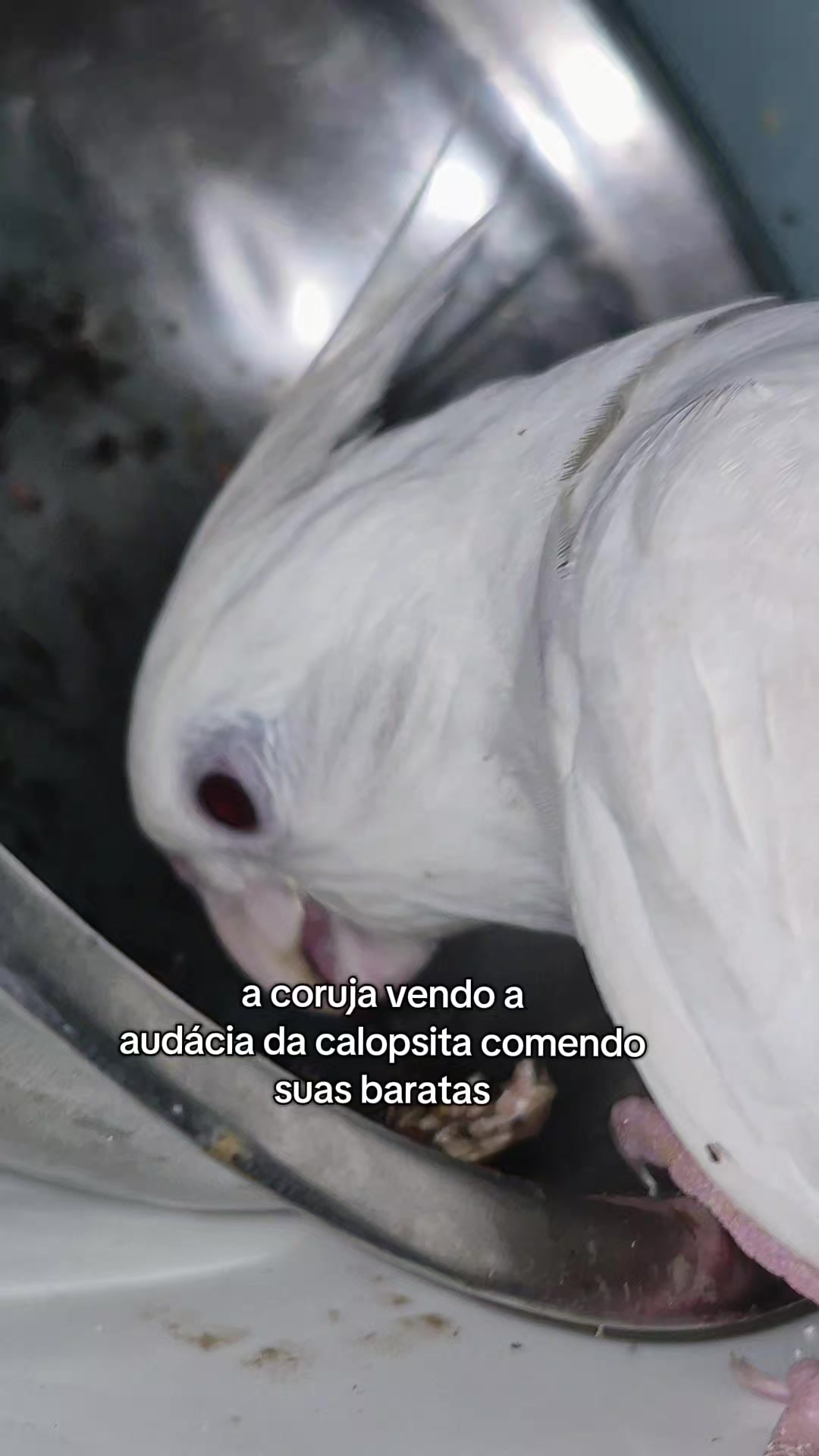 @Juh