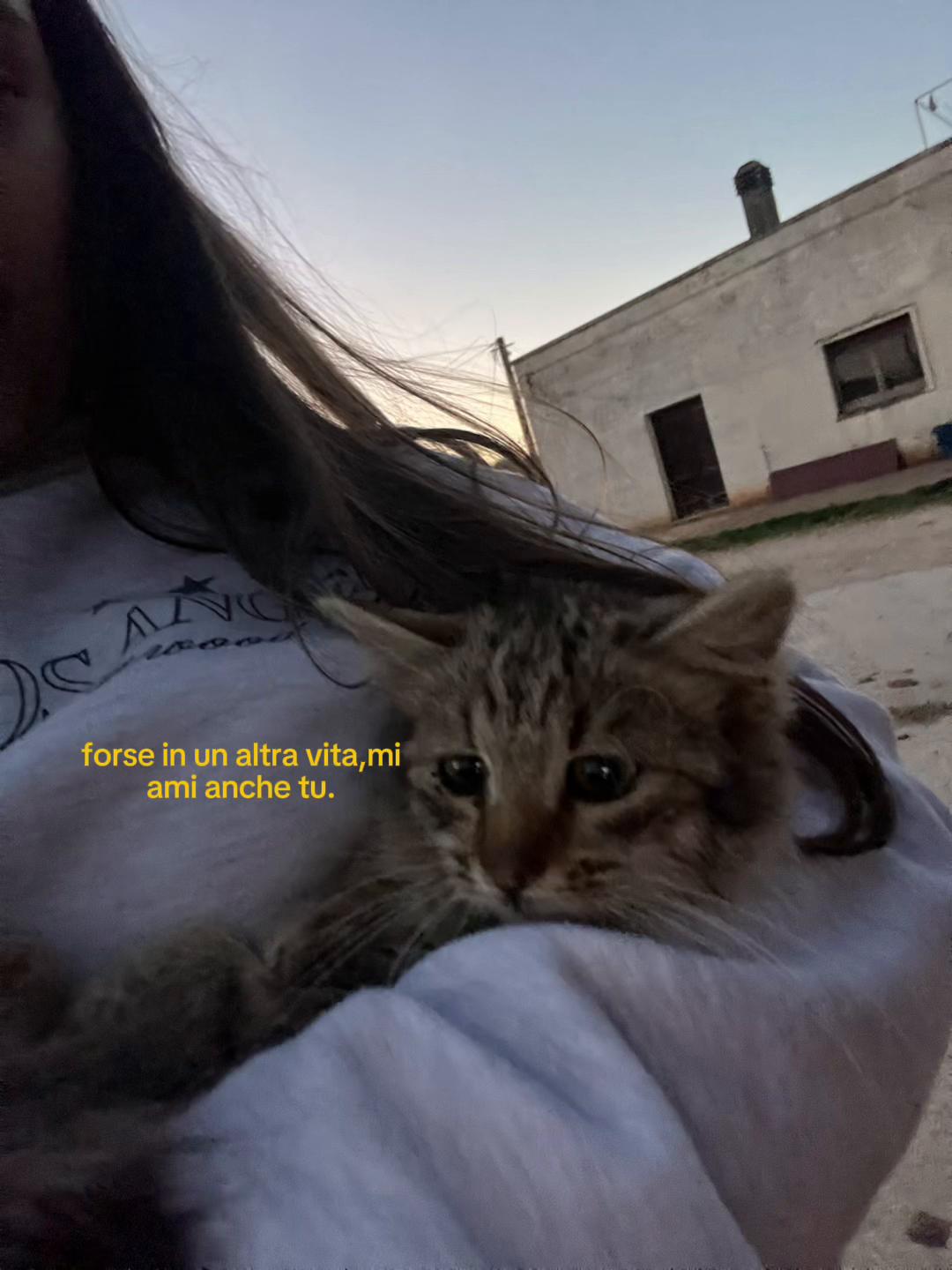 @0707🫯