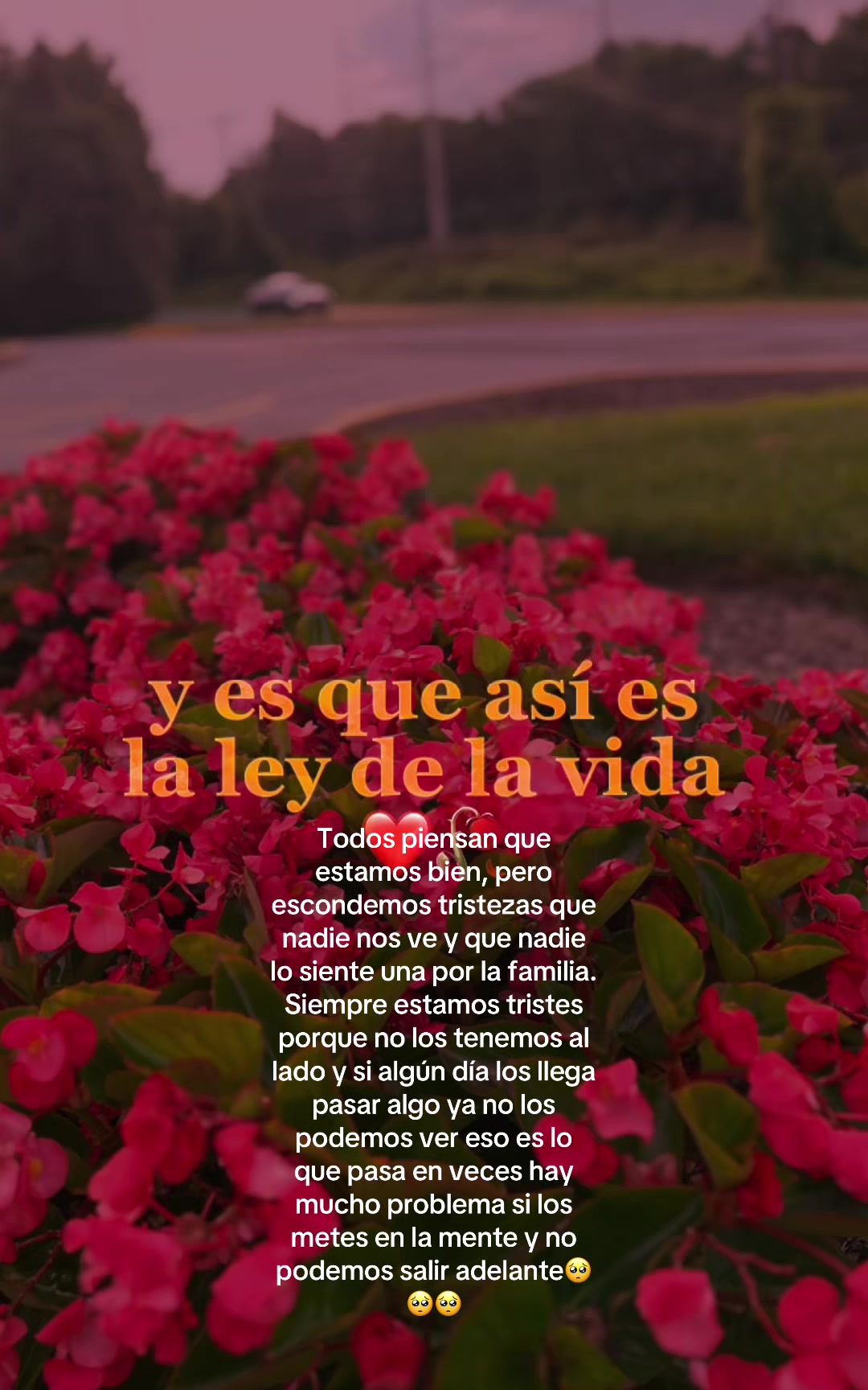 @El chaca