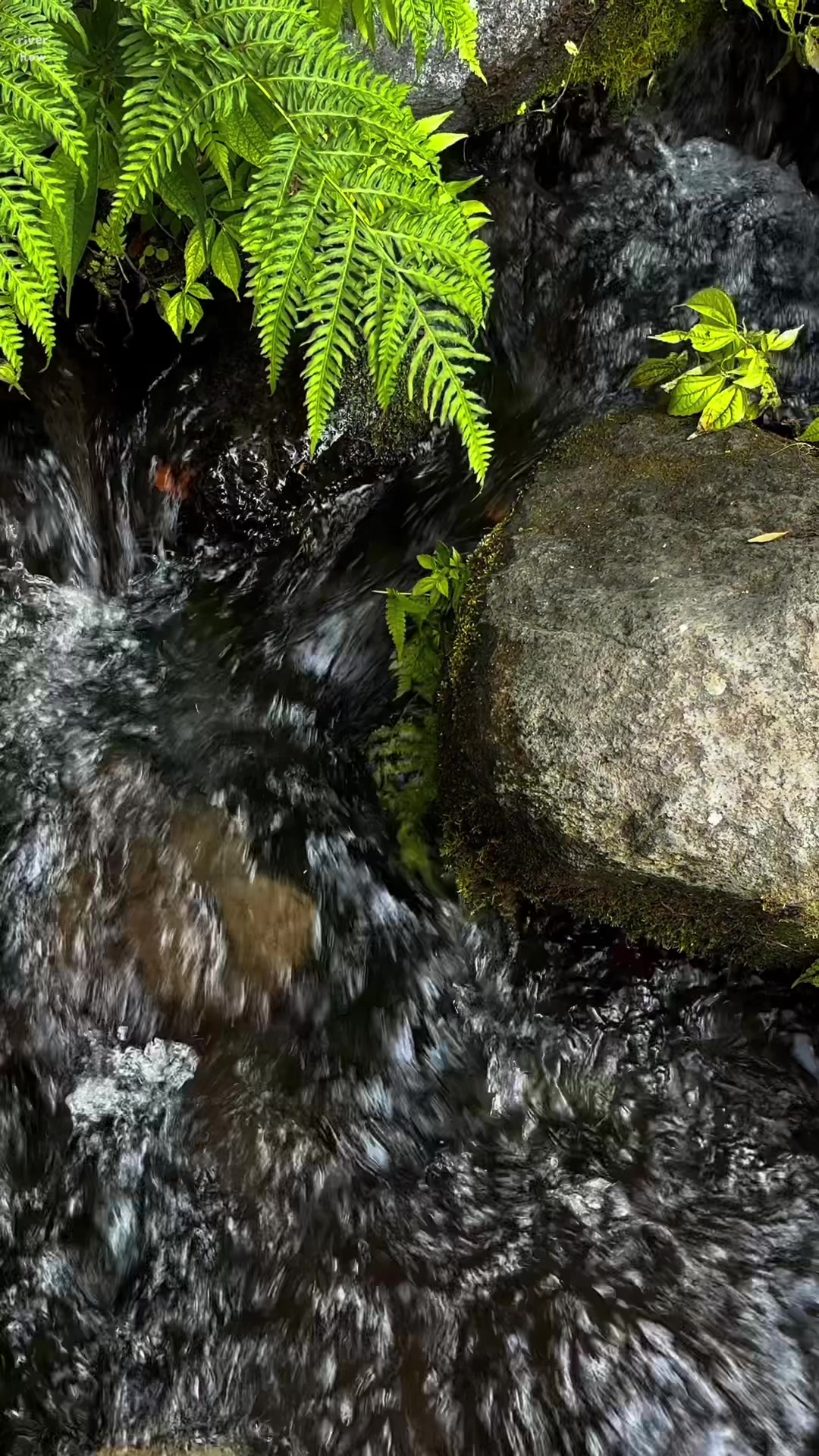 @River Flow