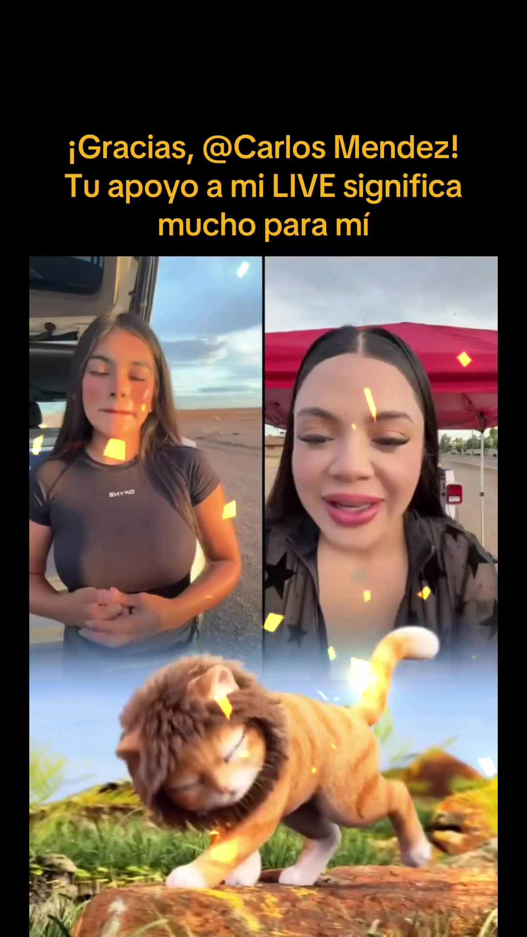@Ana Leyva 🩷