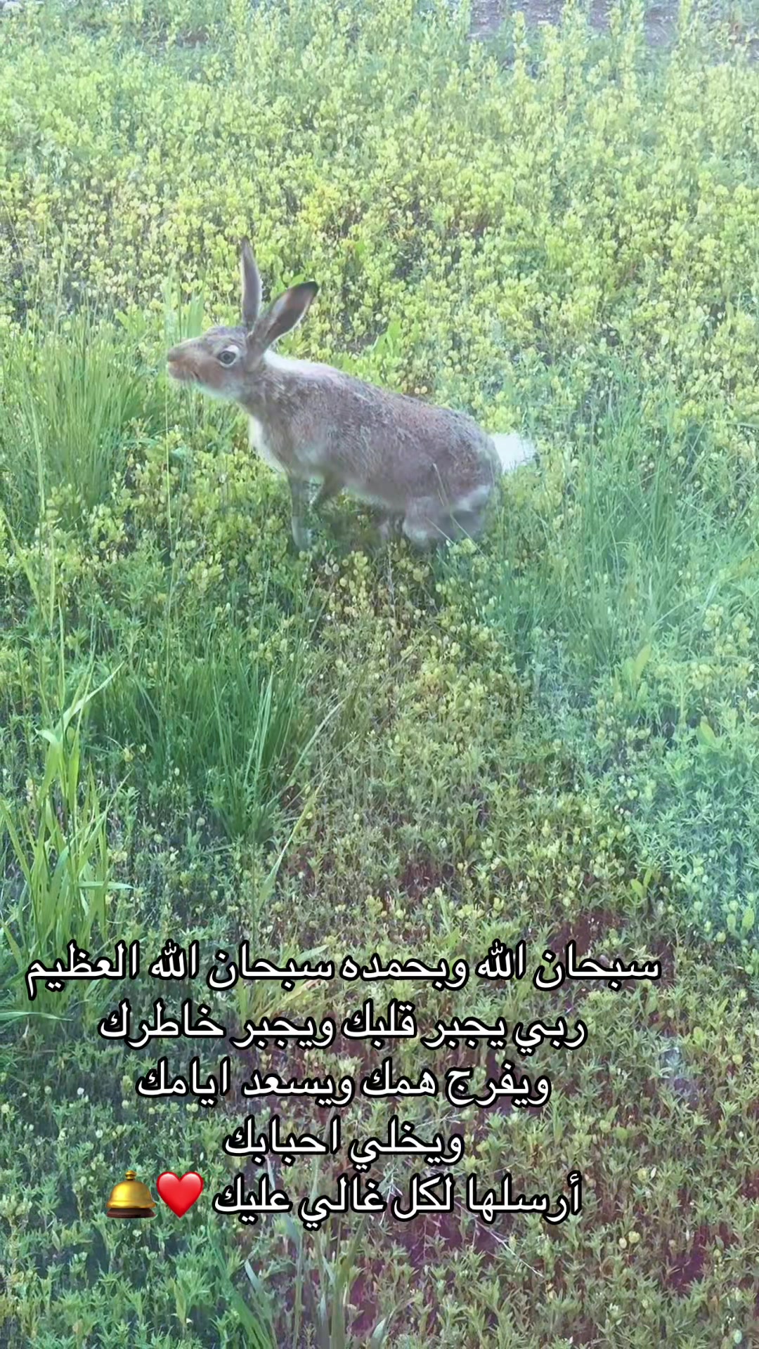 @sedral47