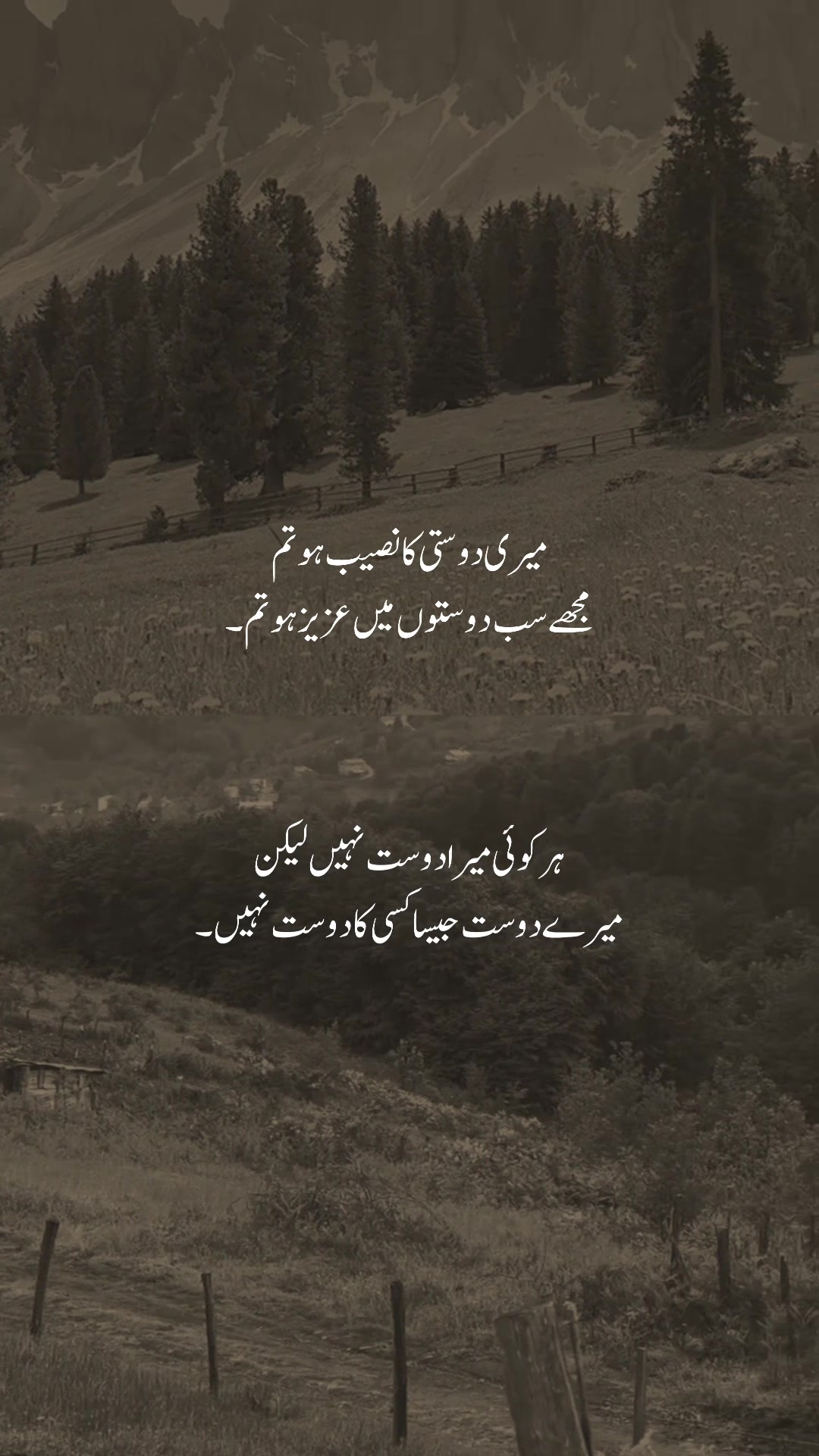 @𓆩شیراز𓆪