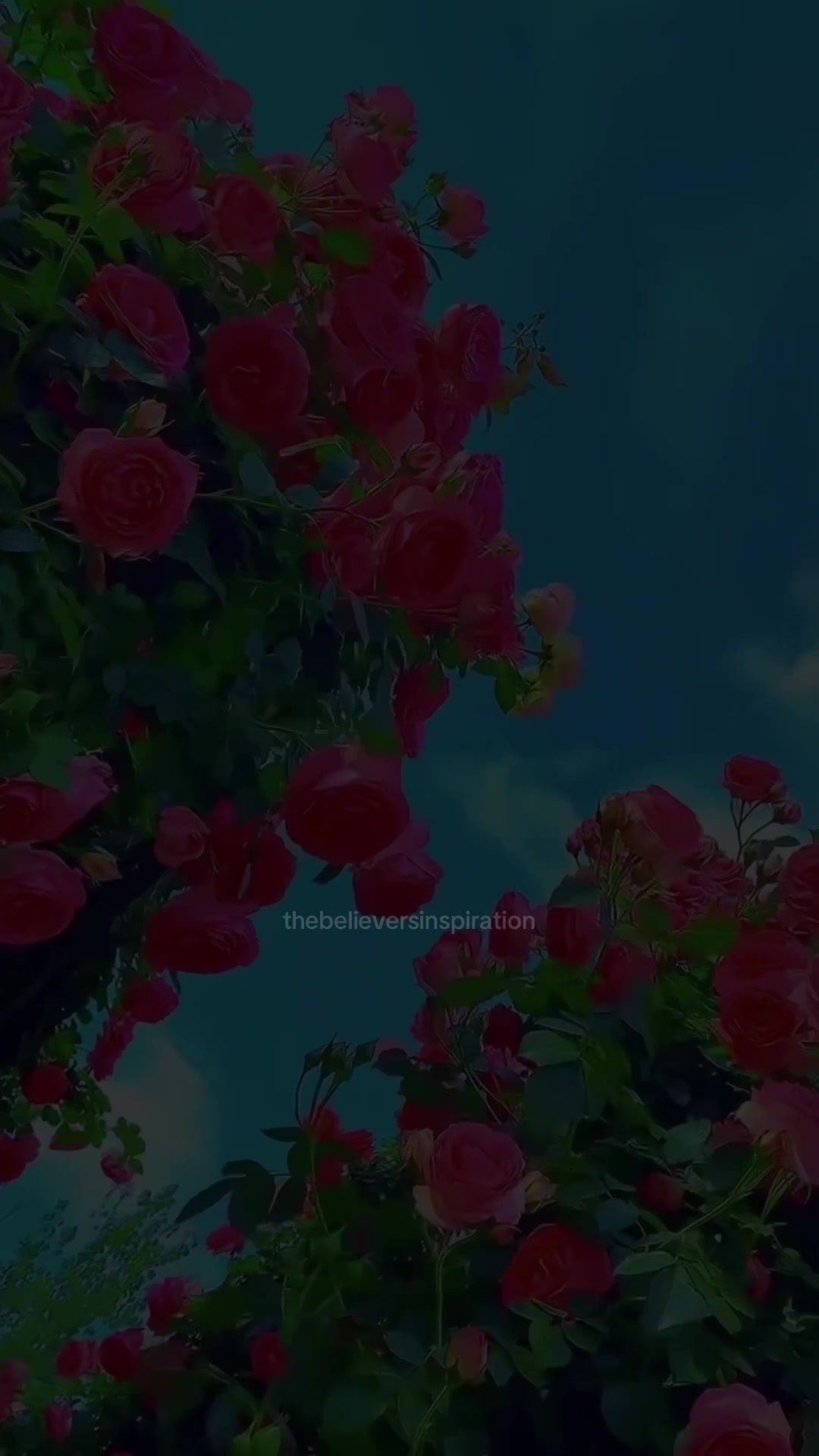 @๐ ๐๐ฌ๐ฅ๐๐ฆ๐ข๐ ๐๐๐ฐ๐๐ก๐