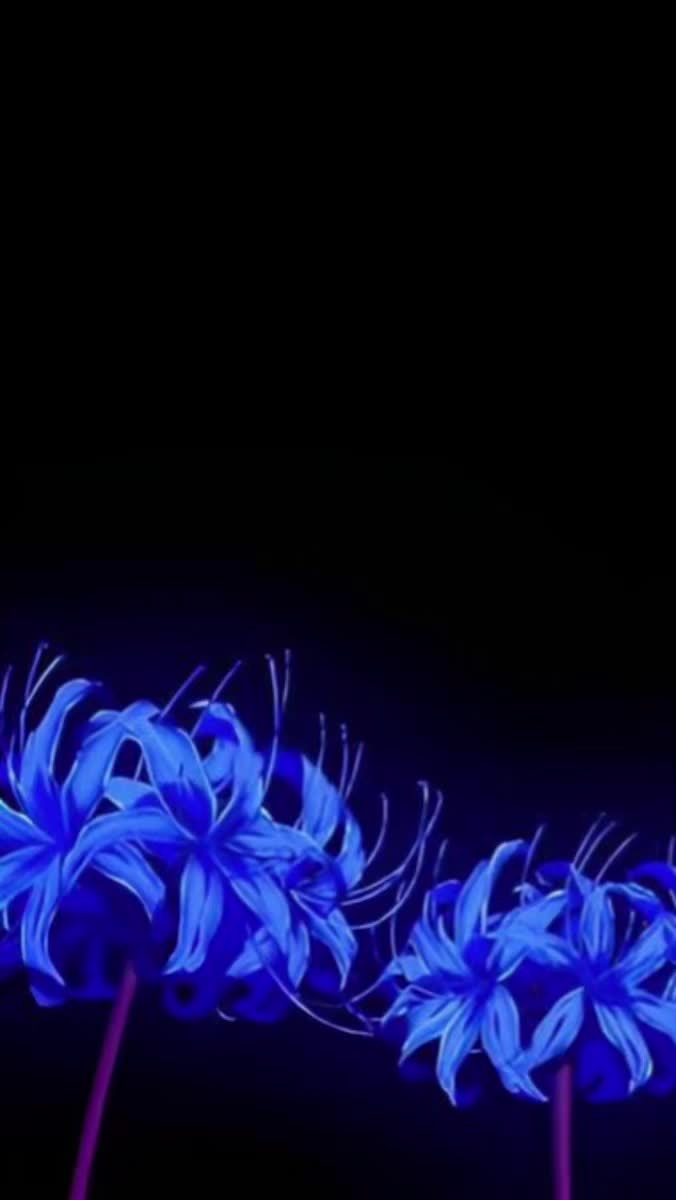 @via_𖦹⋆ˎˊ˗🪽