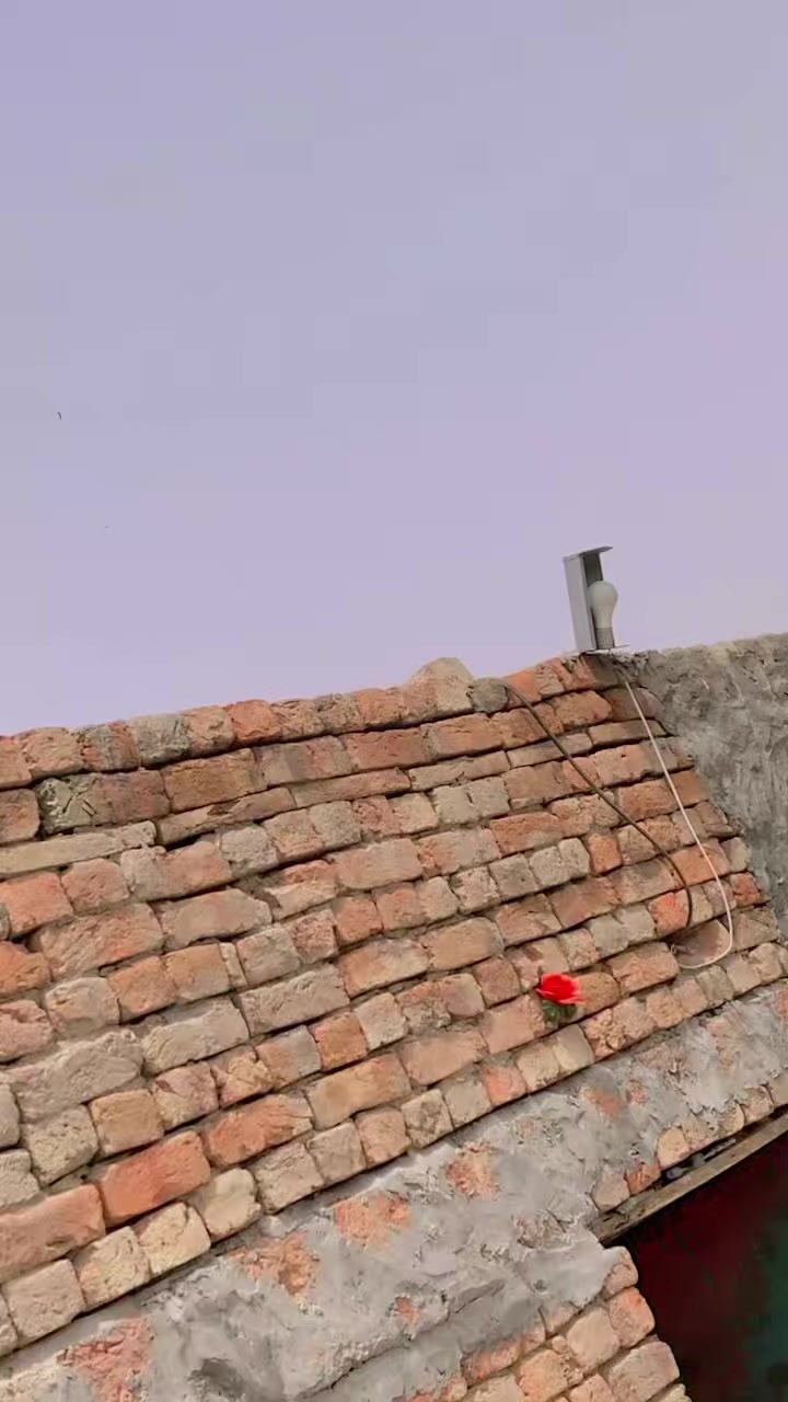 @°᭄COCOMO࿐