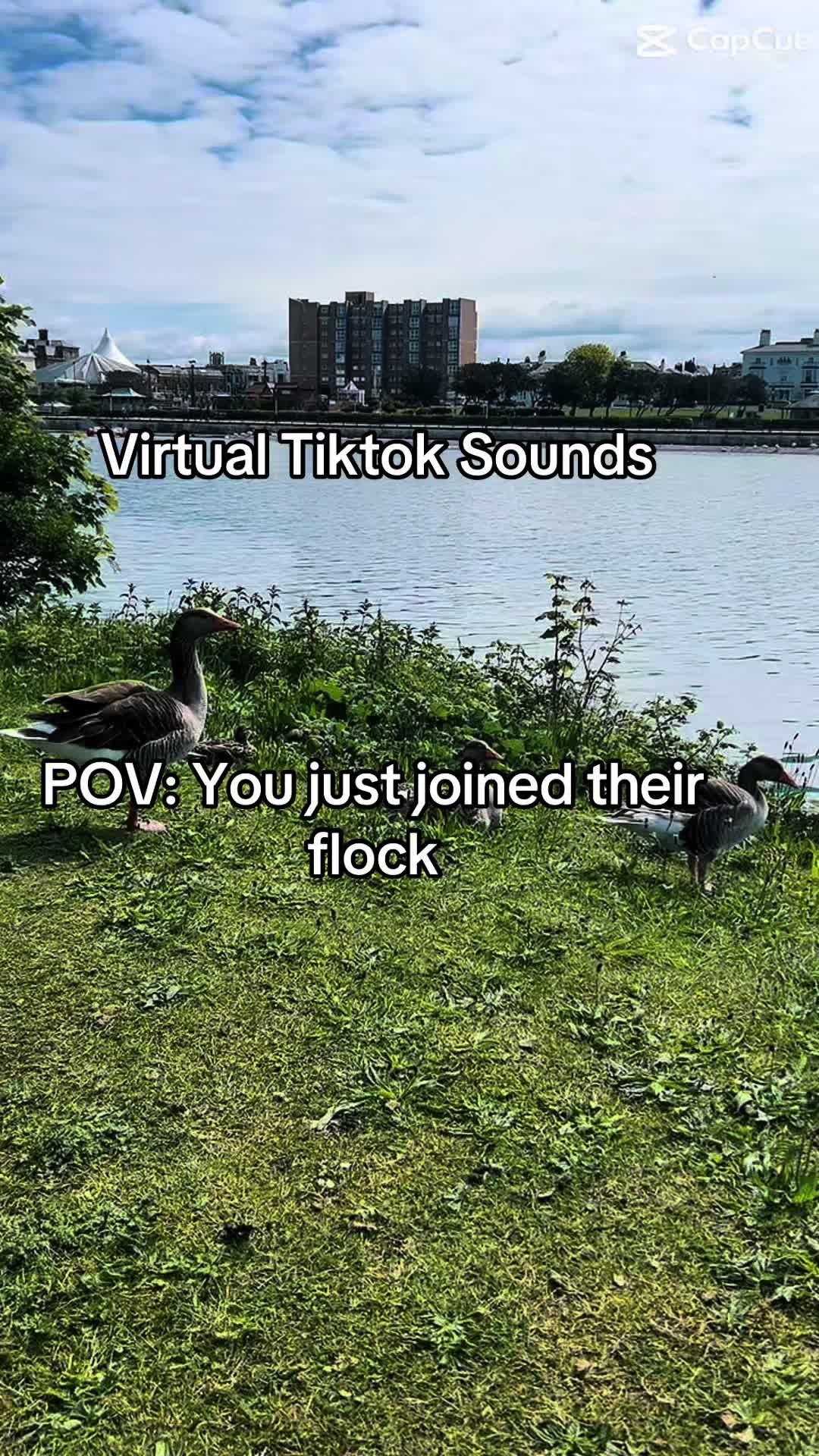 @nicky17