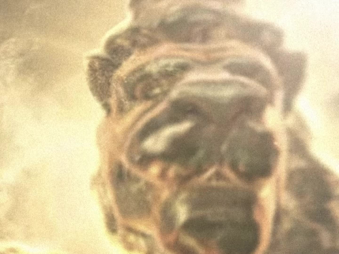 @Lgvfx