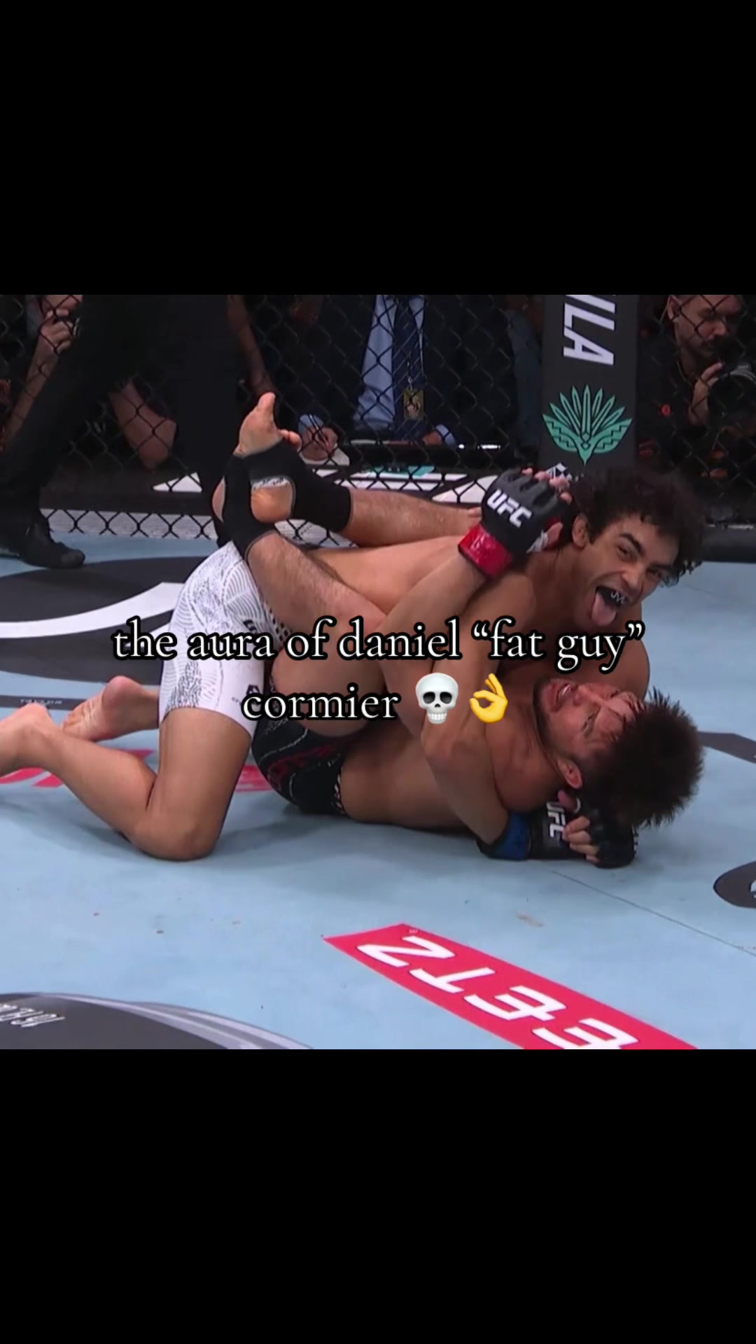 @shamilkanovski