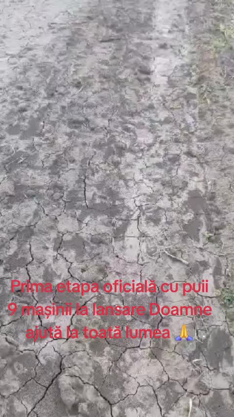 @Andrei Mira