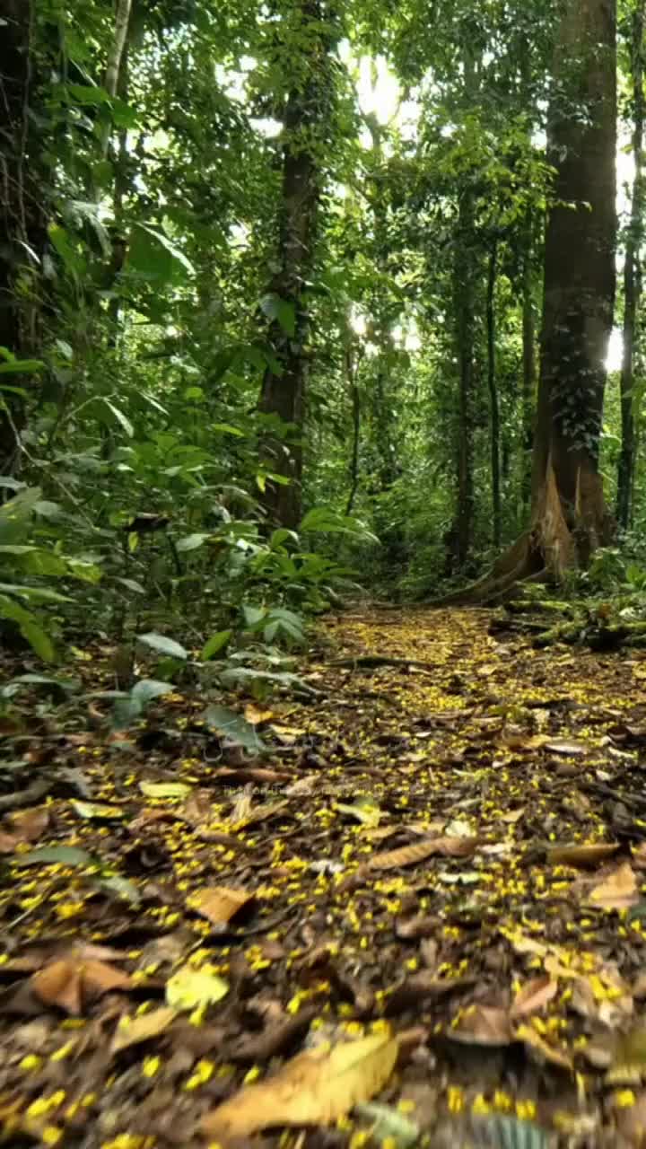 @🦋𝓝ᴏᴏʀᴜʟᴀɪɴ🕊