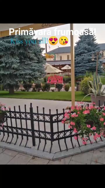 @Gino
