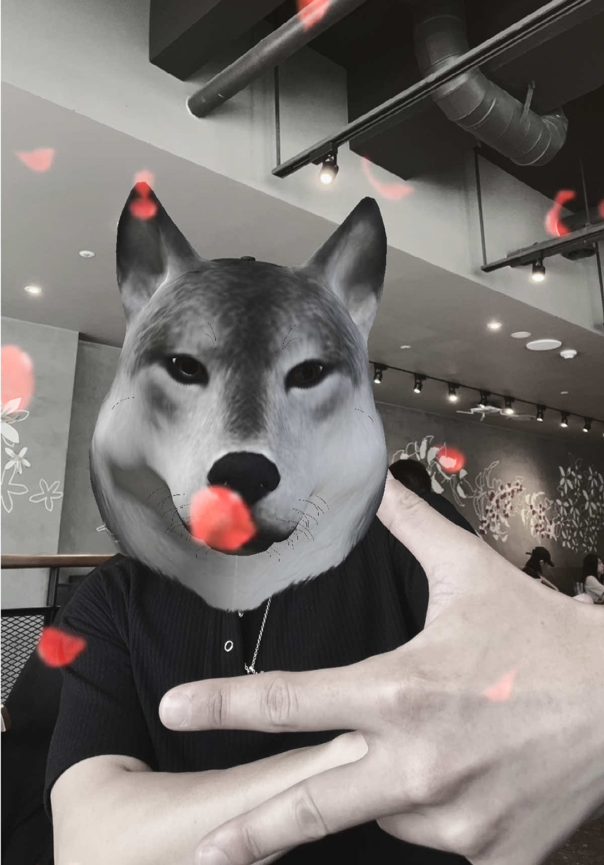 @elijahg69 ⁷