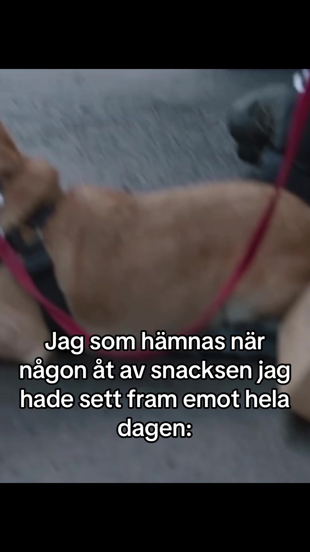 @plastmuggen1