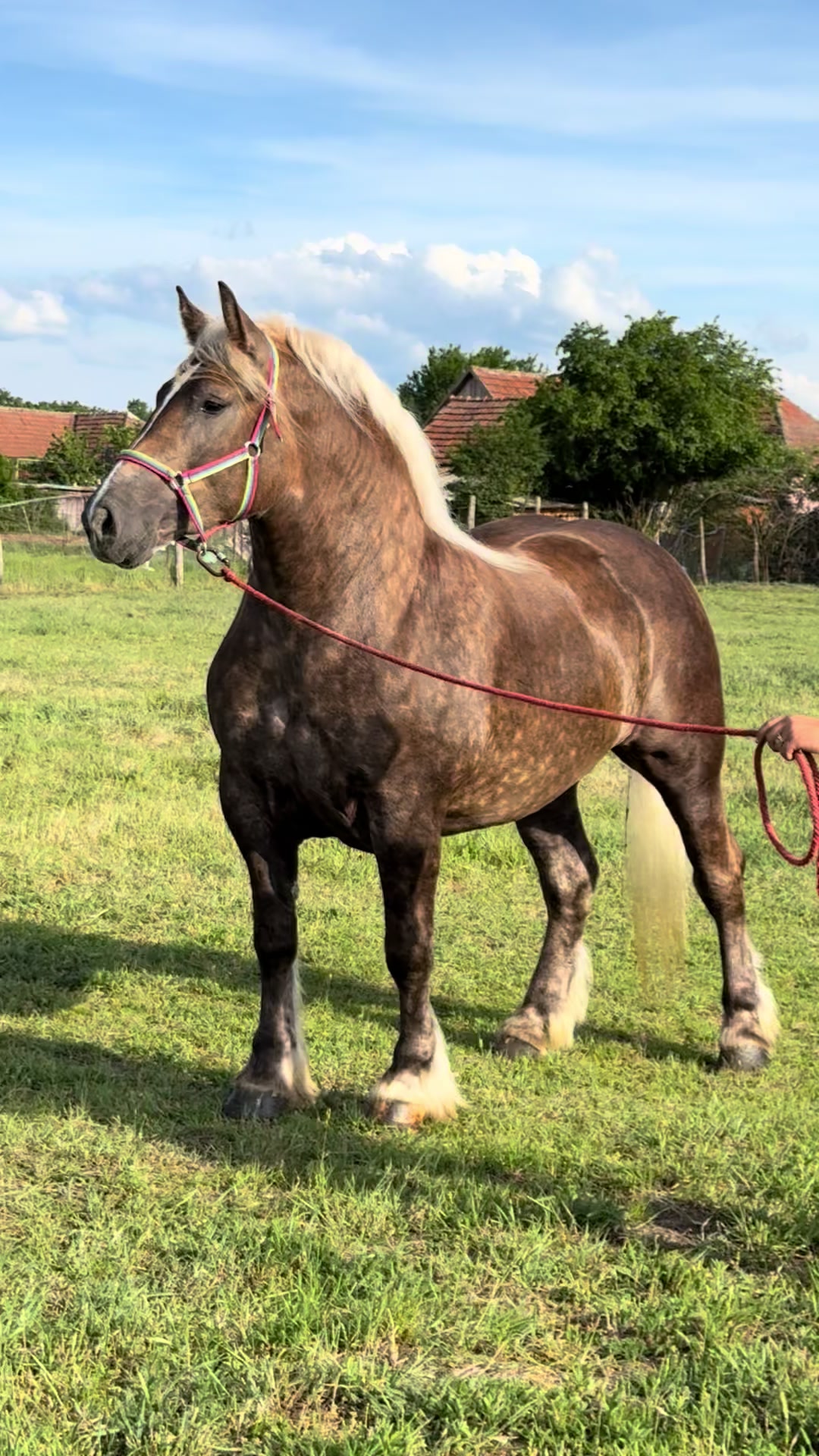 @🐴Spartanu🐴