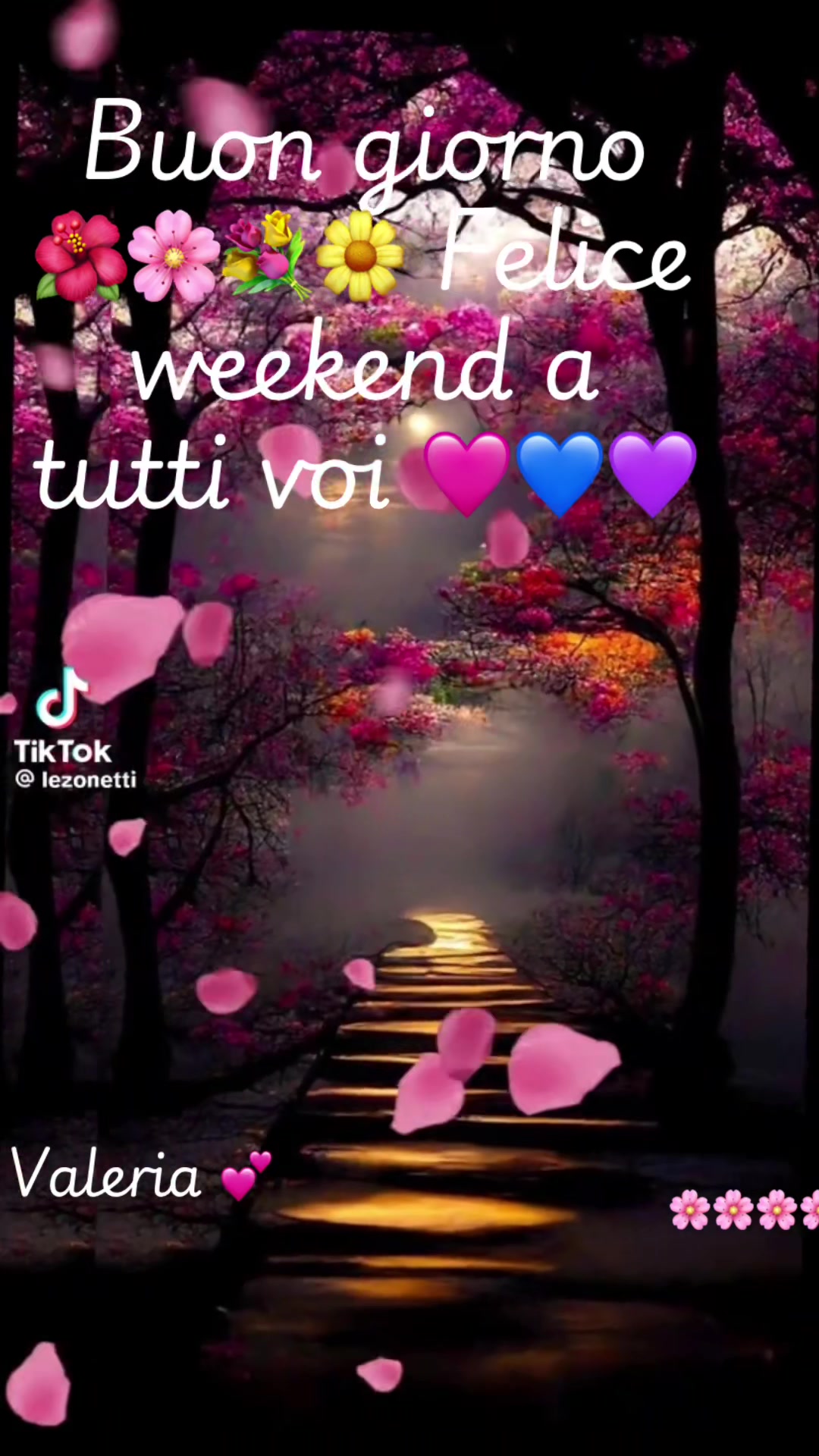 @valeriaevangelis840