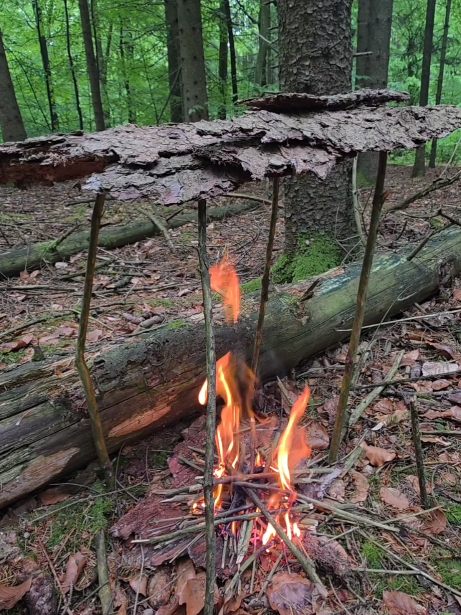 @winter_and_bushcraft
