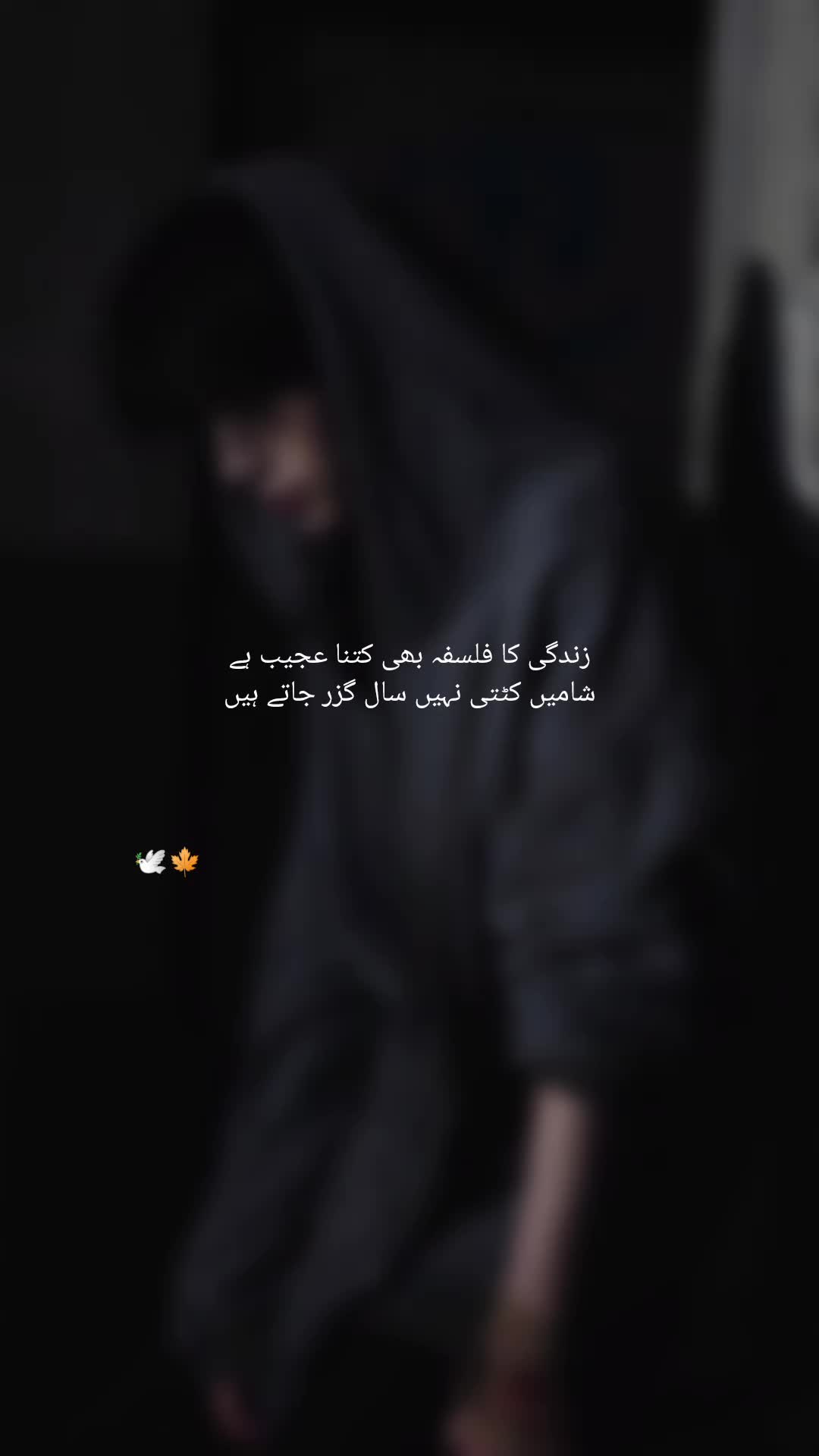 @mareزeishq1090