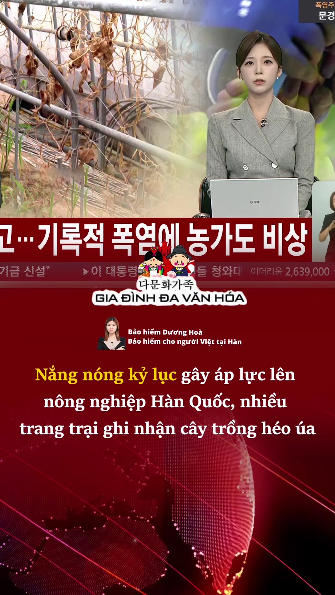 @다문화가족 - GIA ĐÌNH ĐA VĂN HÓA