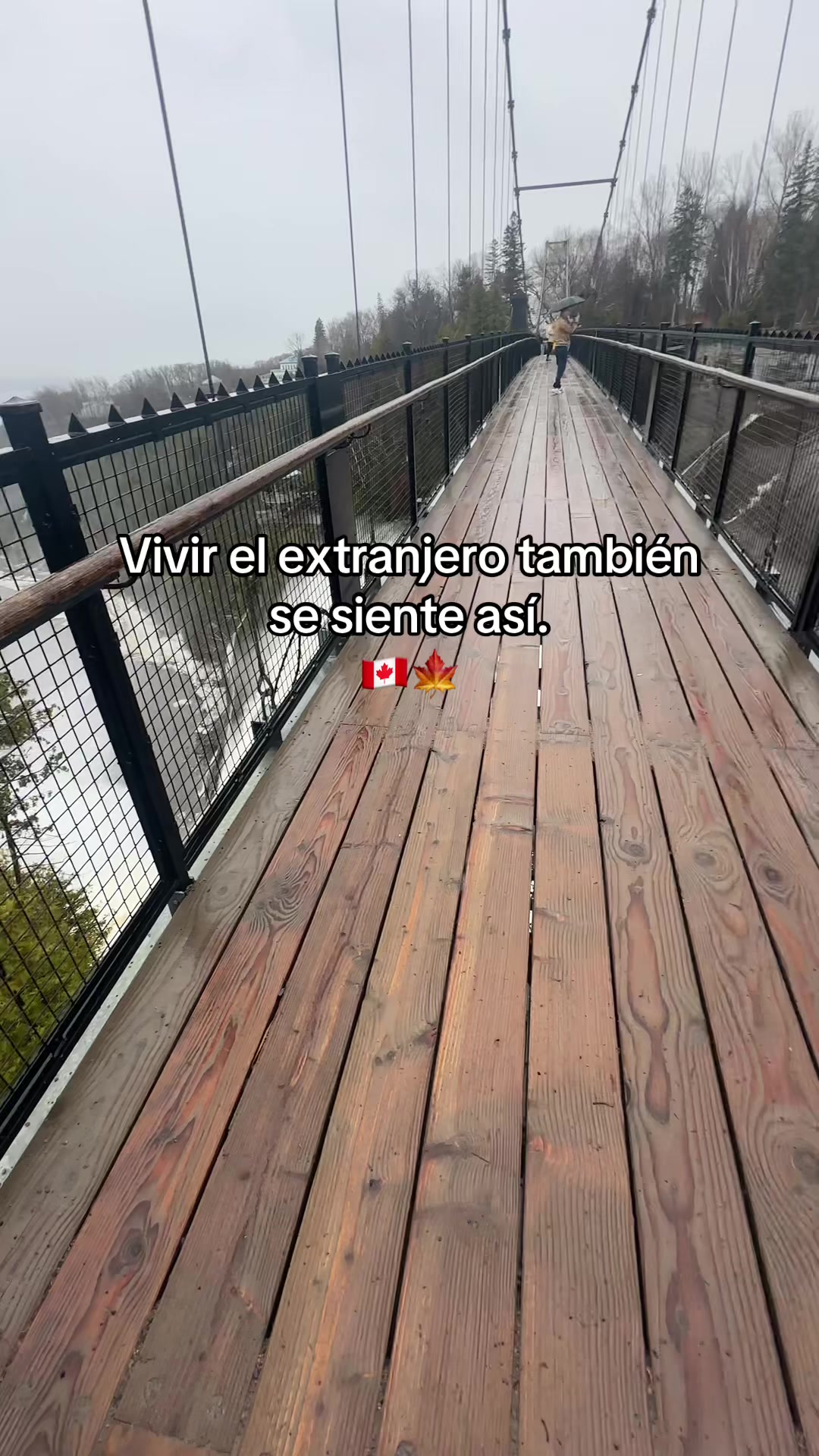 @Bea 💗🇨🇦