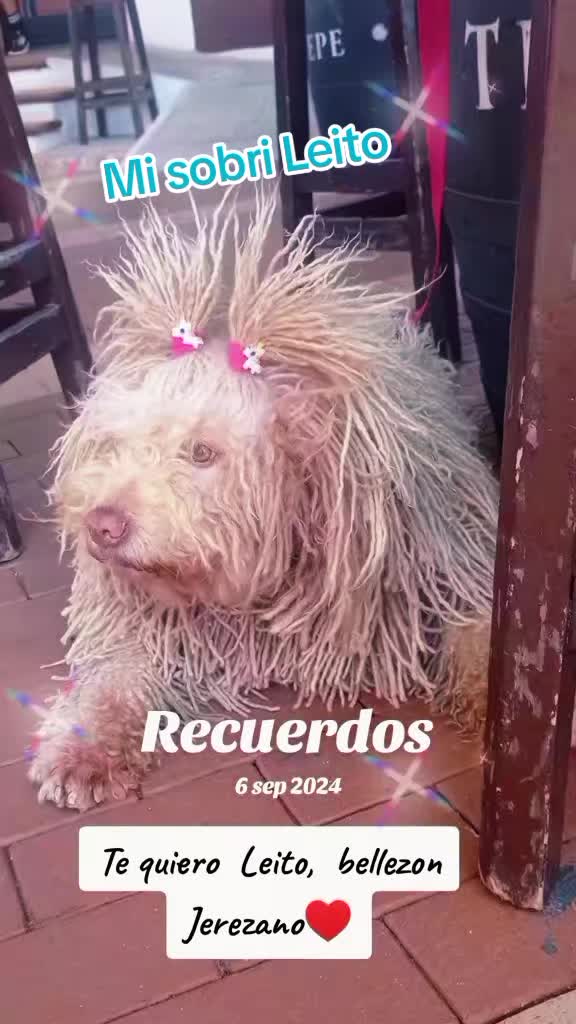 @PatriFuyur