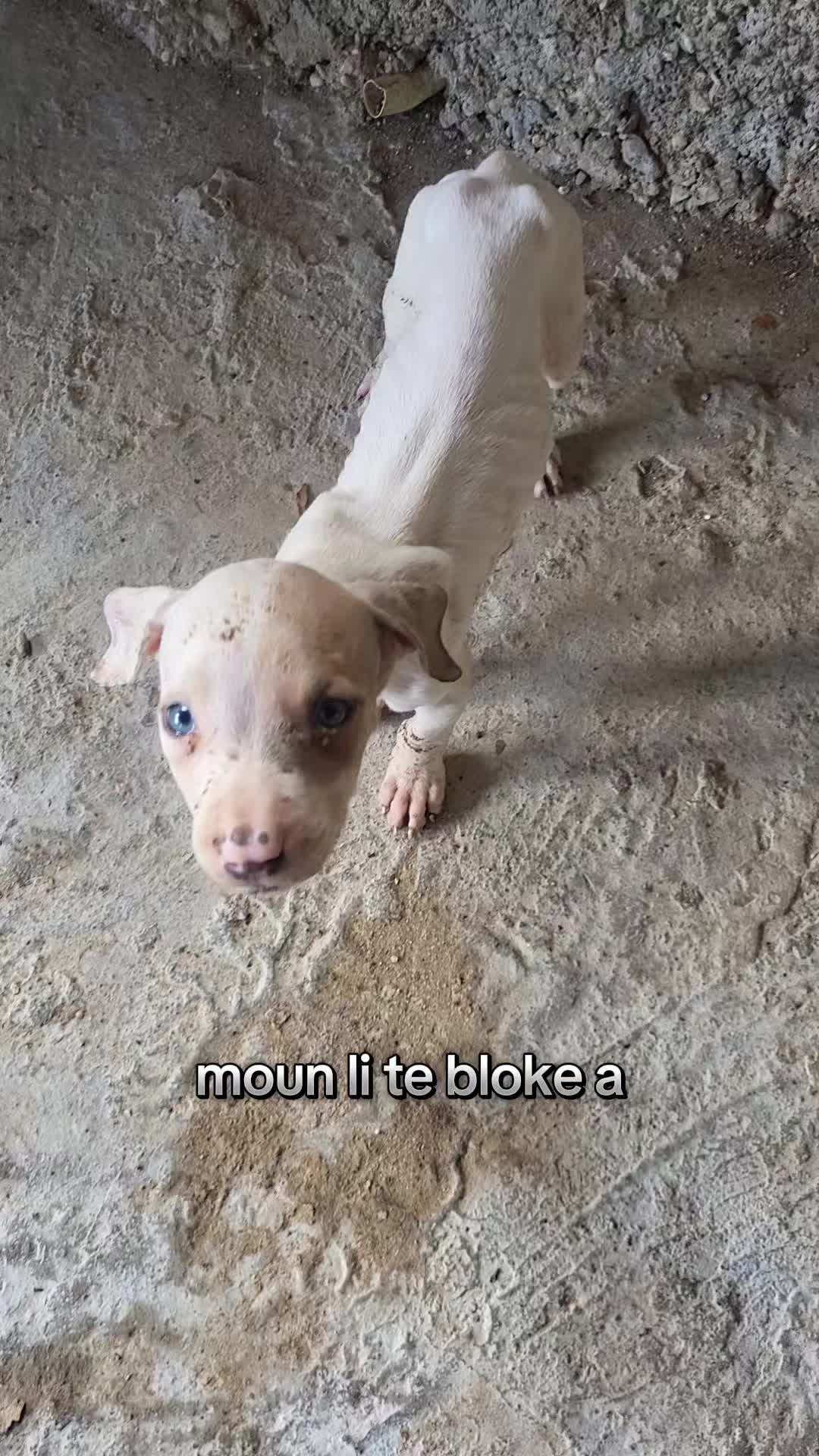 @Bendog