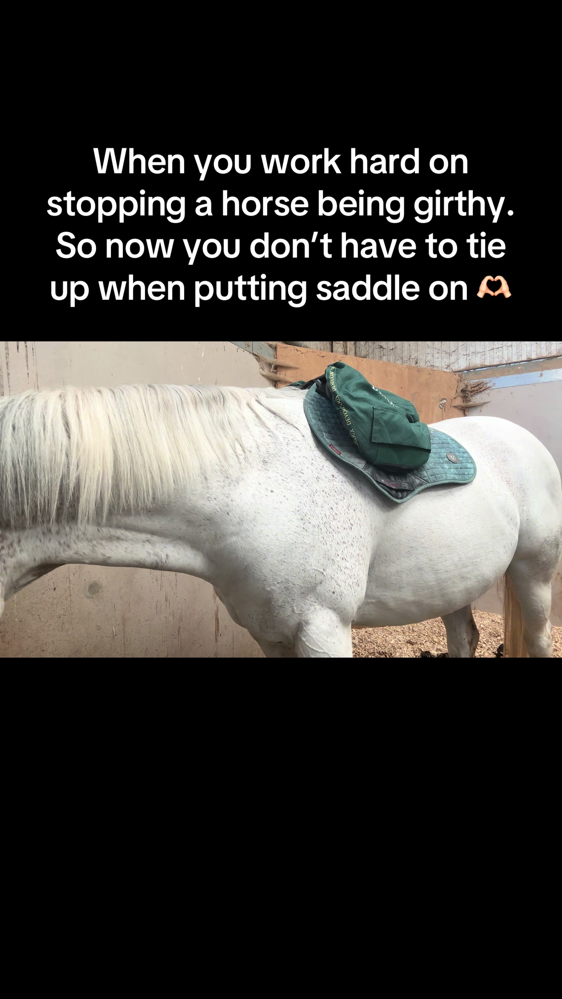 @MyAutisticLife