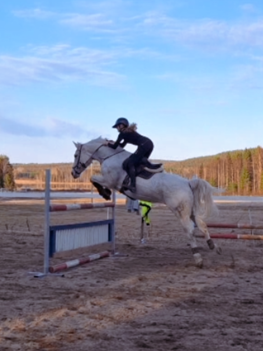 @✨️Veera Kettunen ja Ievina✨️