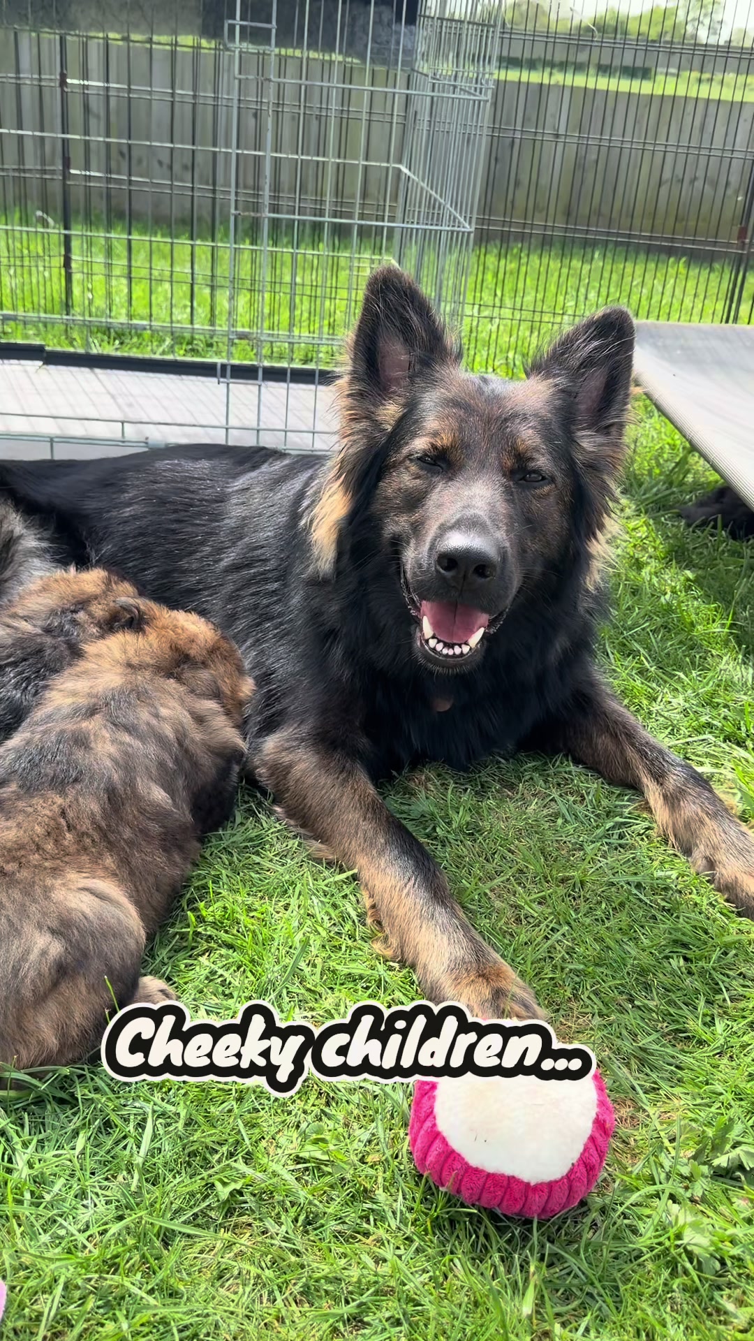@TheGSDhubwithjennygould