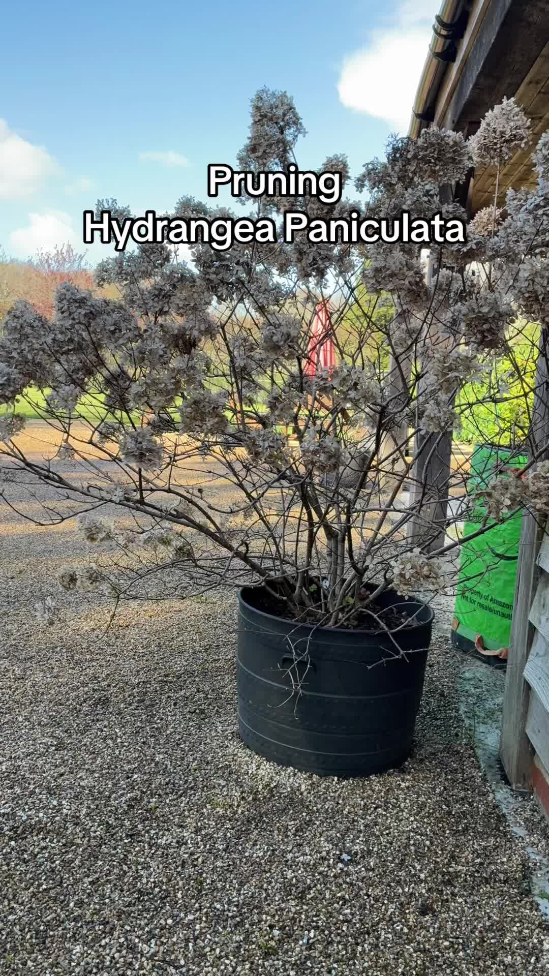 @All The Small Plants
