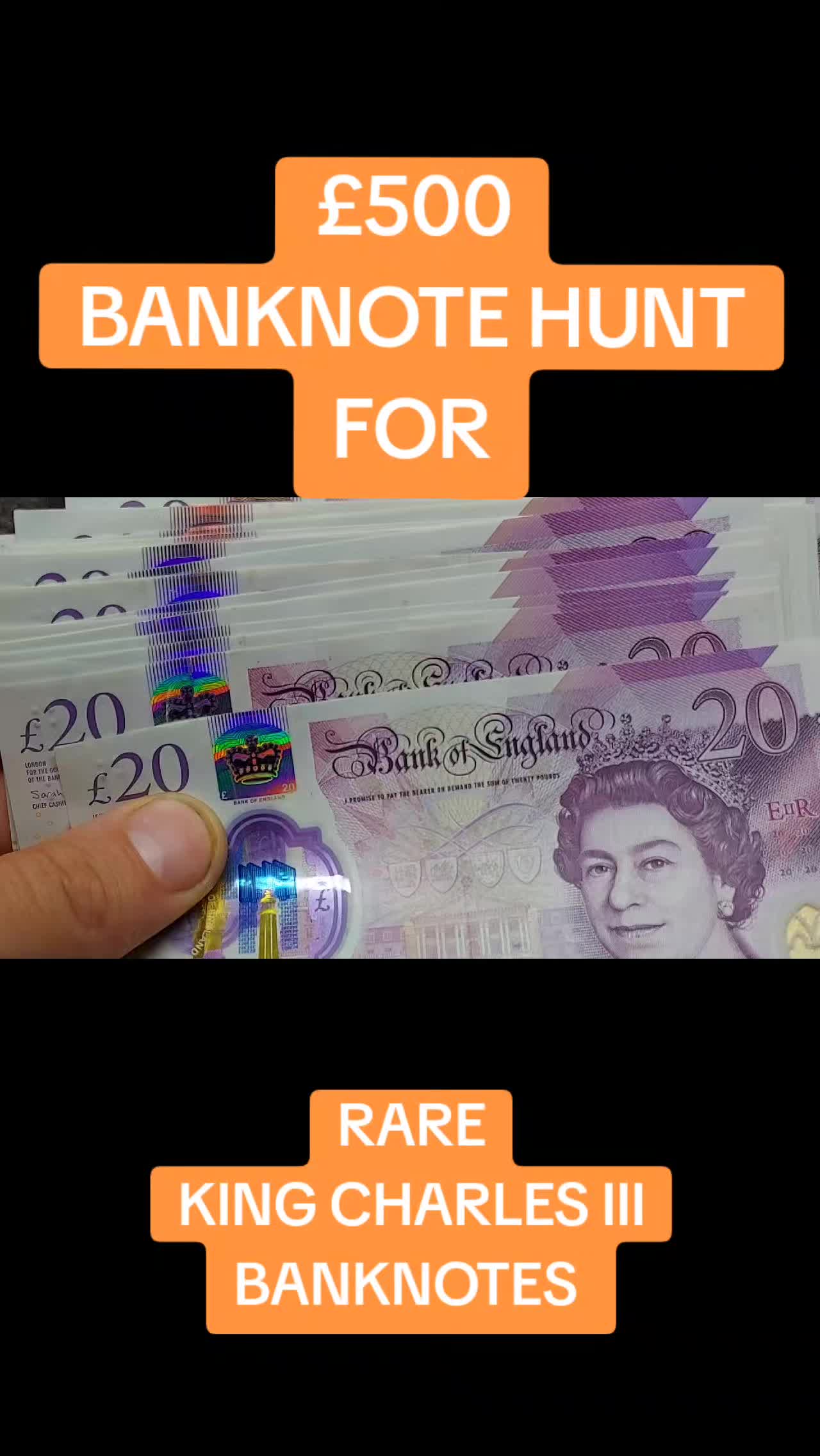 @DANS DOLLARS