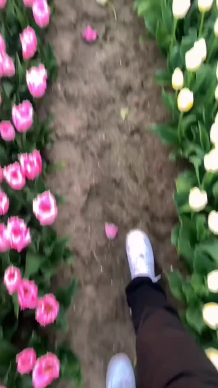 @RumanaAzed