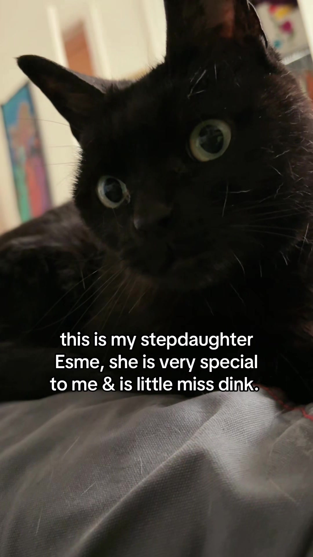 @chefstephspeaks