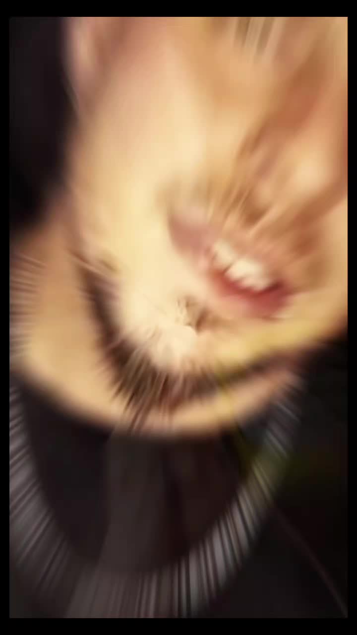 @💫🔥👑🧊Ɓ𝑄&omega;𝖎𝗍ɕ𝗁☆F𝗋ɑɲʑ𝖎🧙