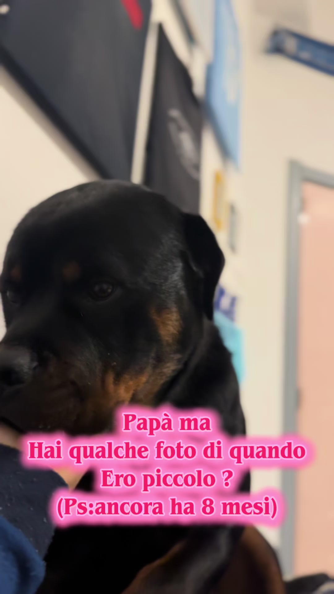 @Ragusa Cristian