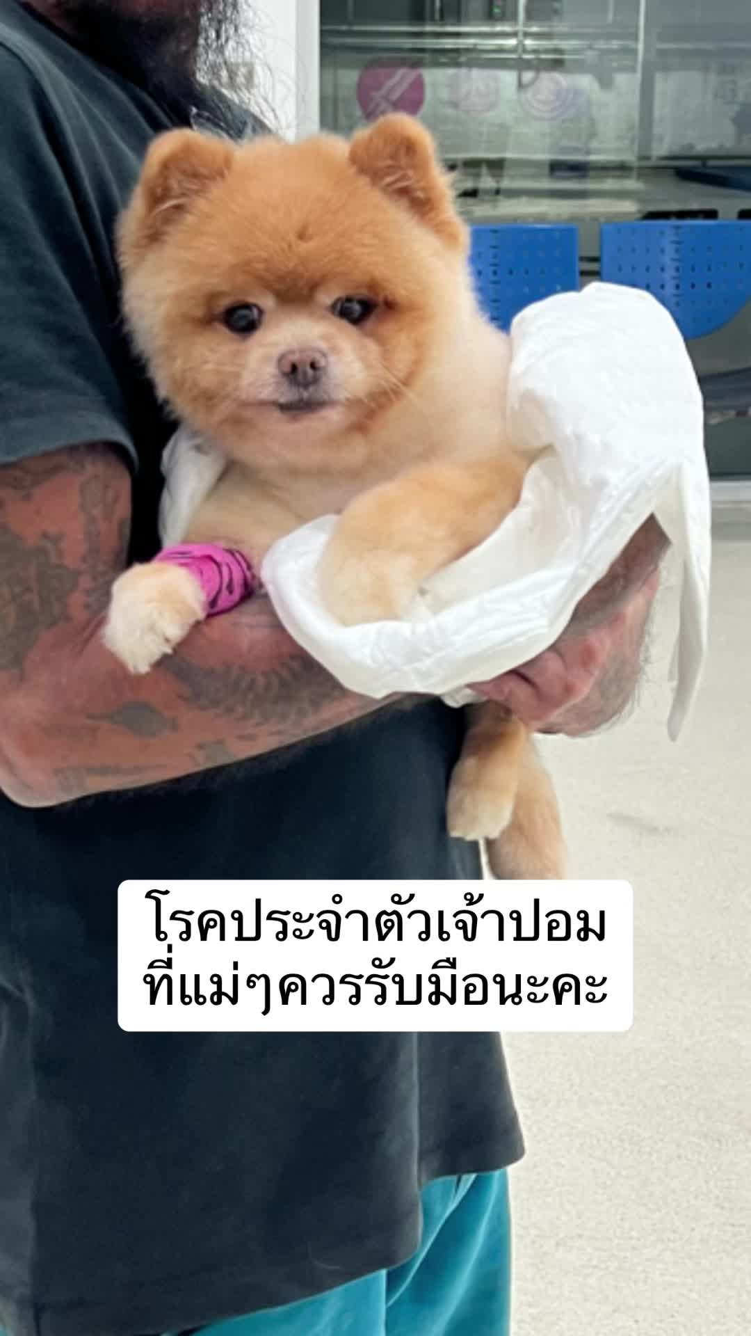 @🎀💕หมอยลี่คนที่ผมสีชมพู💓🎀🐽